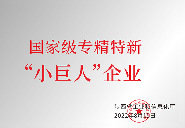 國家級(jí)專精特新“小巨人”企業(yè)